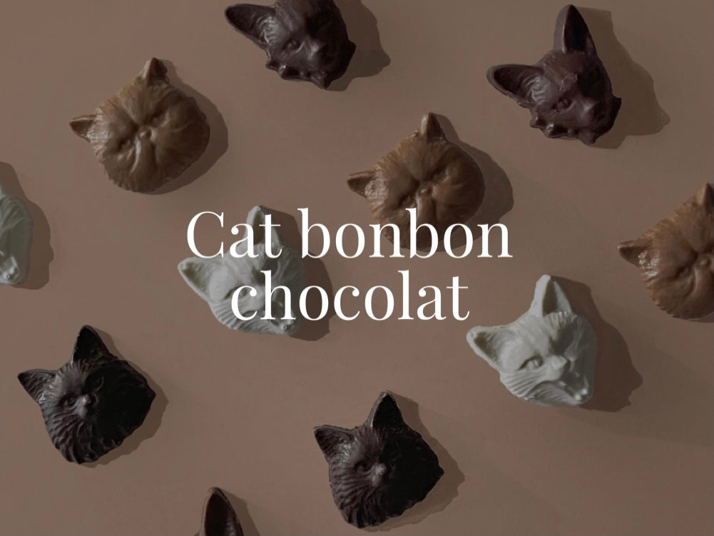 Cat bonbon chocolat Philly chocolate