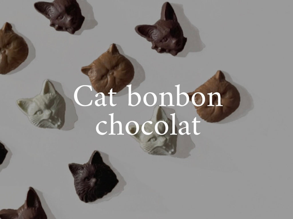 Cat bon bon chocolatテイストのご紹介